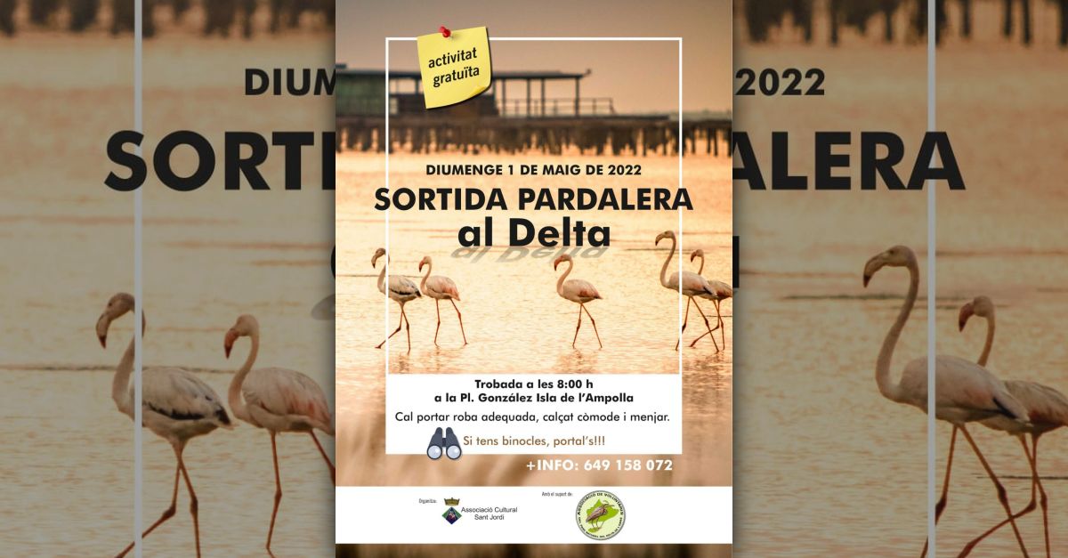 Sortida pardalera al Delta