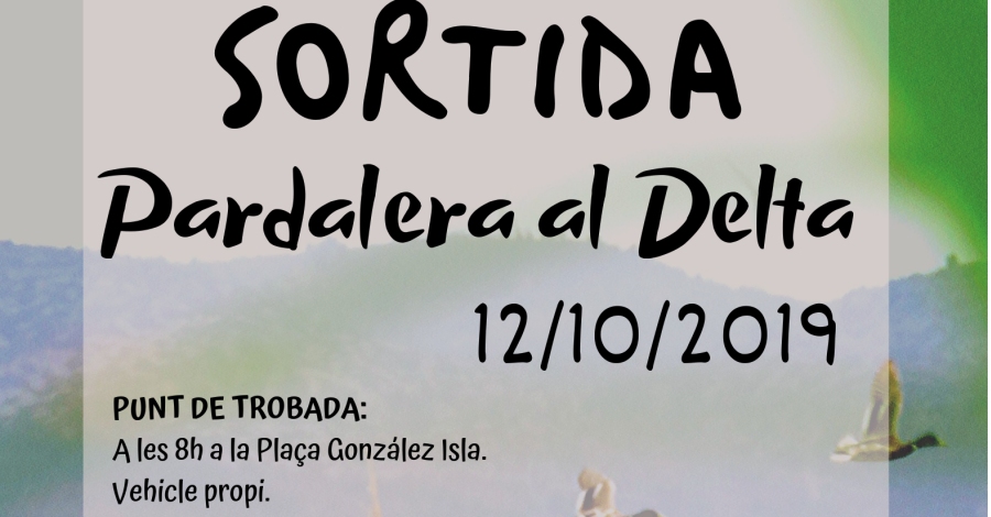 Sortida pardalera al Delta