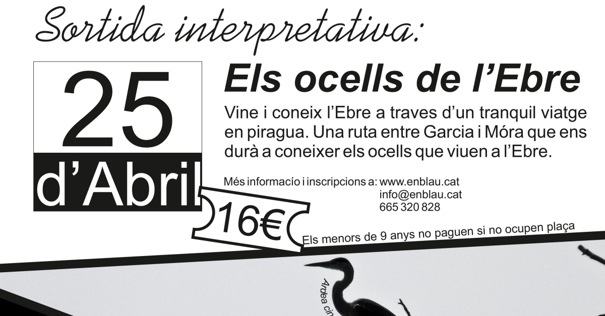 Sortida interpretativa: Els ocells de lEbre