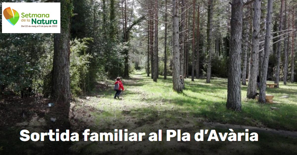 Setmana de la Natura: Caminata y descubierta del entorno en familia