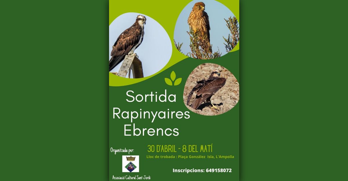 Salida rapaces ebrencas