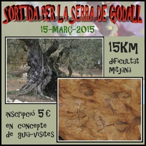 Sortida per la serra de Godall