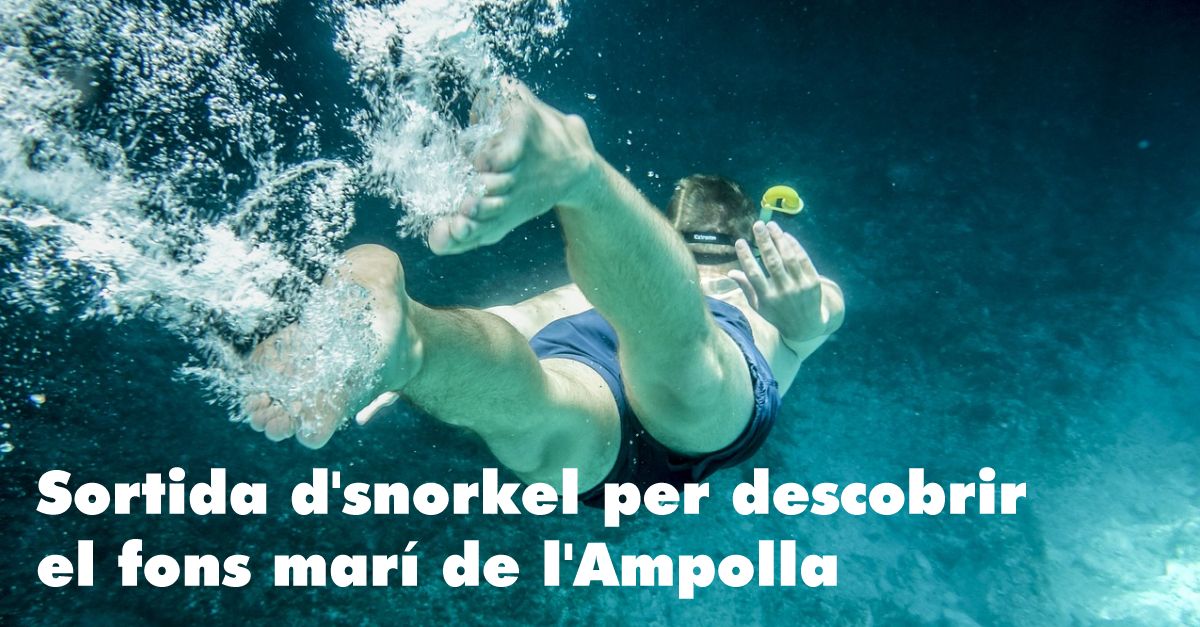 Salida de snorkel para descobrir el fondo marino de lAmpolla