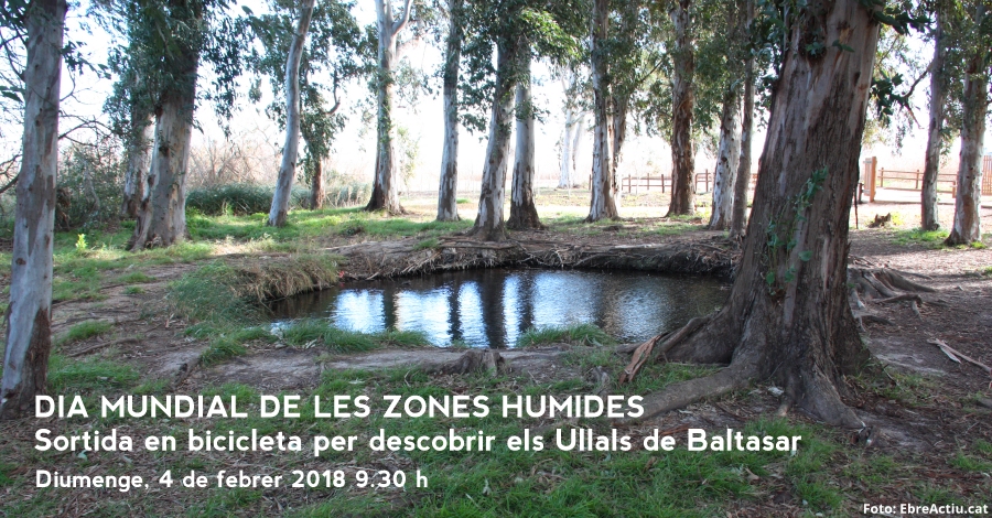 Sortida en bicicleta per descobrir els Ullals de Baltasar (Dia Mundial de les Zones Humides)