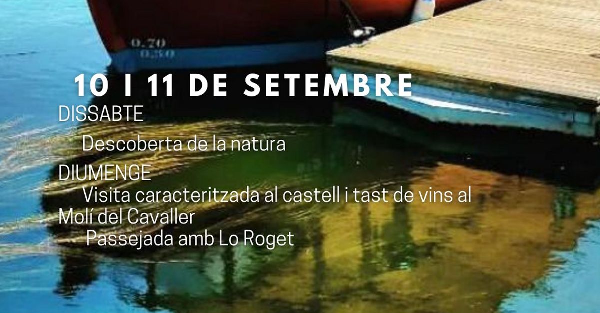 Visita caracterizada al castillo y cata de vinos al Mol del Cavaller y paseo con Lo Roget