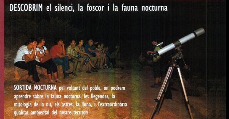 Sortida nocturna: Descobrir el silenci, la foscor i la fauna nocturna