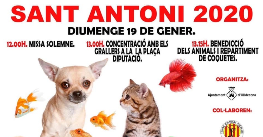 Sant Antoni 2020 Ulldecona