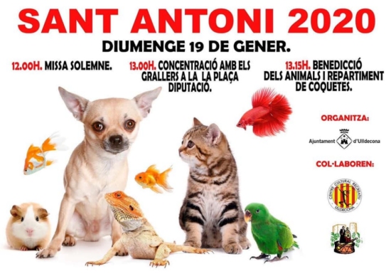 Sant Antoni 2020 Ulldecona