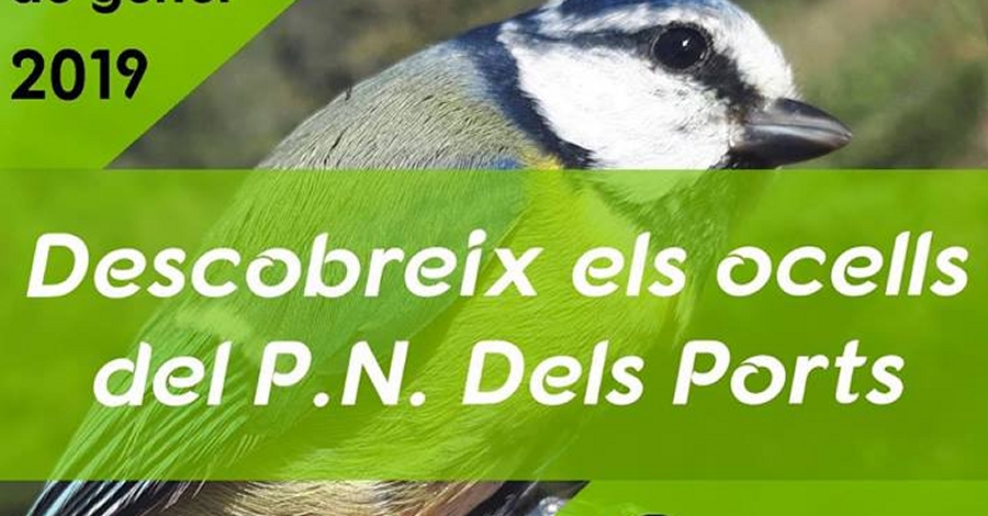 Descobreix els ocells del Parc Natural dels Ports