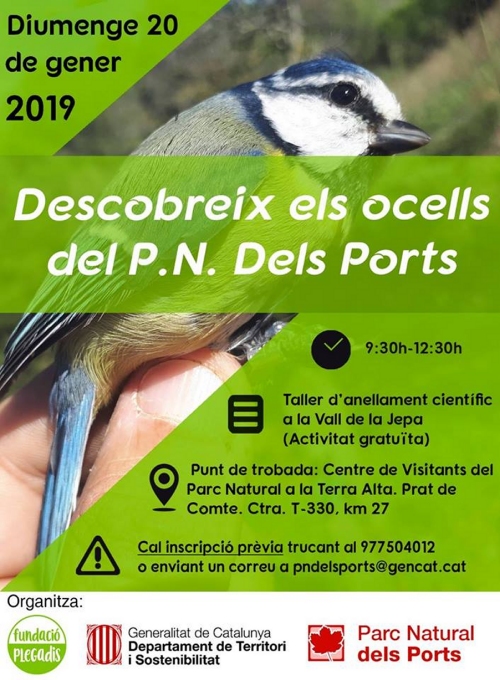 Descobreix els ocells del Parc Natural dels Ports