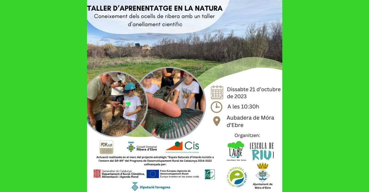 Taller daprenentatge en la natura