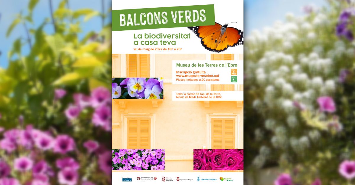 Taller Balcons verds. La biodiversitat a casa teva