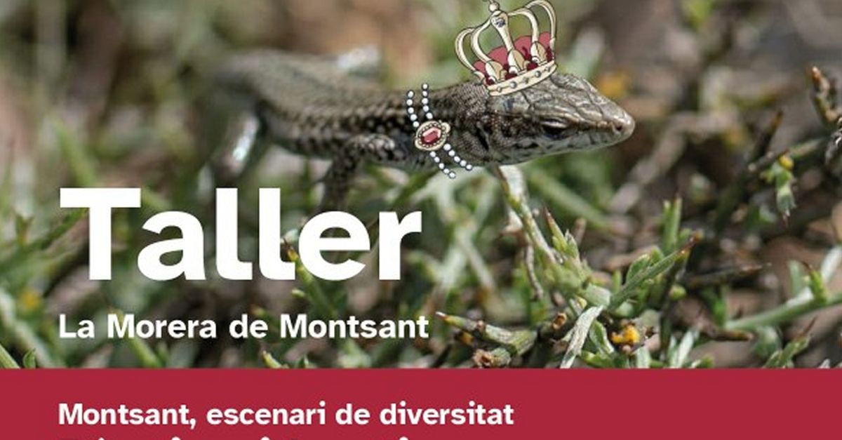 Taller creatiu de contes naturalistes: Bsties i bestieses a Montsant