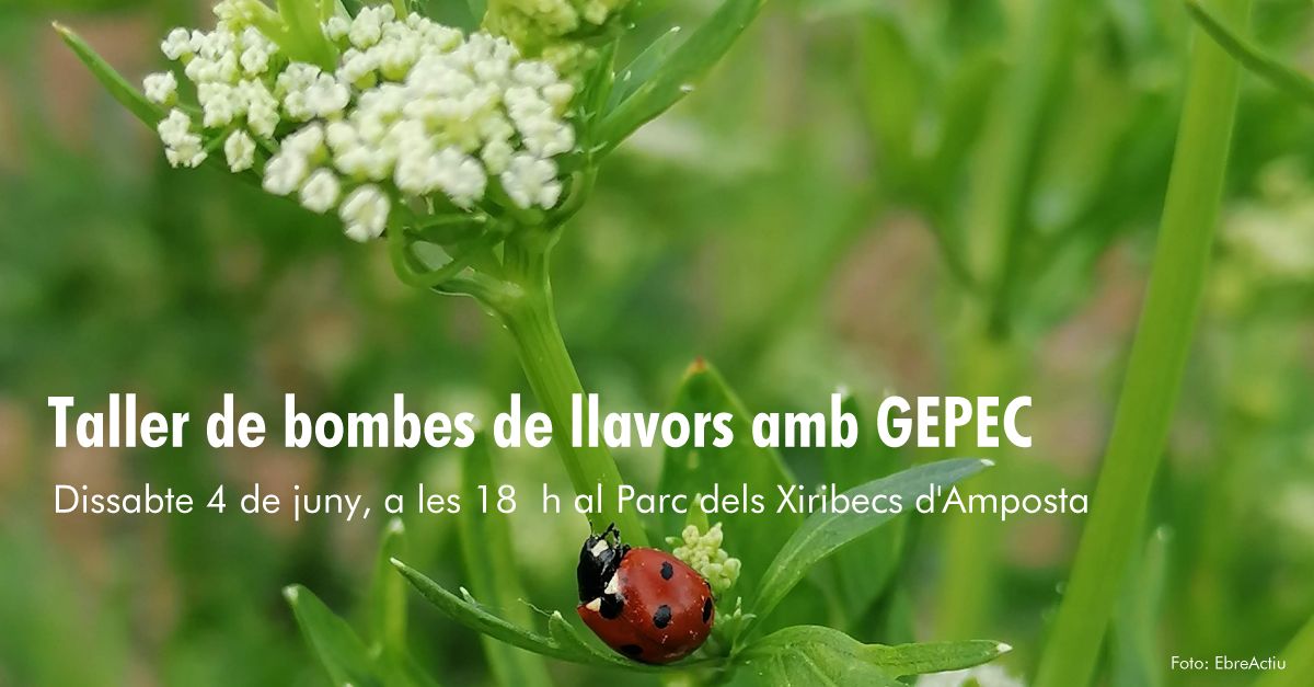 Taller de bombes de llavors amb GEPEC