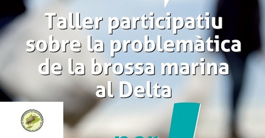 Taller participatiu sobre la problemtica de la brossa marina al Delta