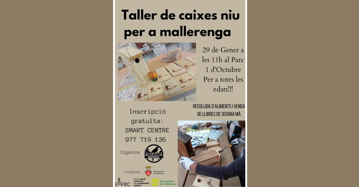 Taller de caixes niu per a mallerenga