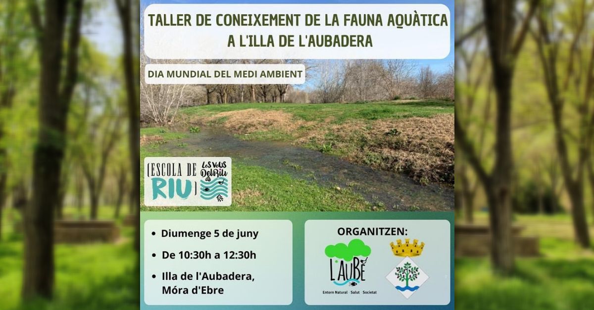 Taller de conocimiento de la fauna acutica de la isla de la Aubadera