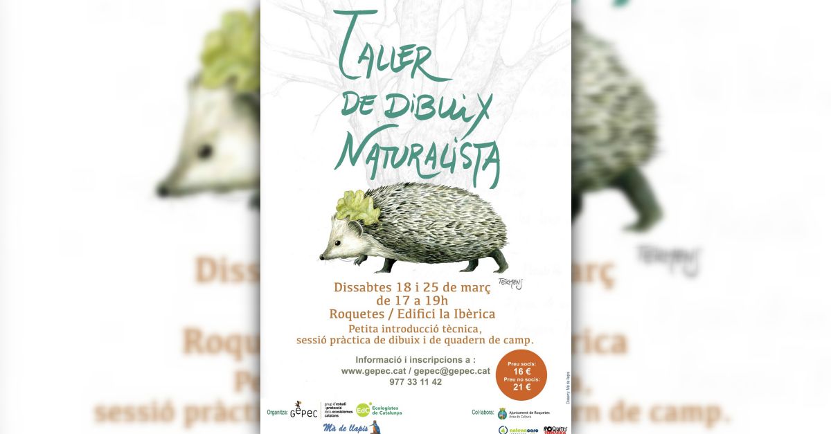 Taller de dibujo naturalista en Roquetes