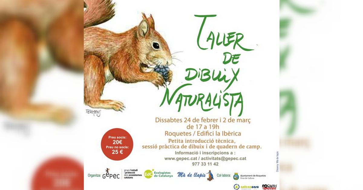 Taller de dibuix naturalista