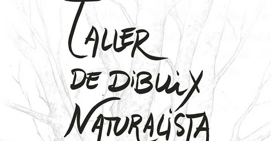 Taller de dibuix naturalista