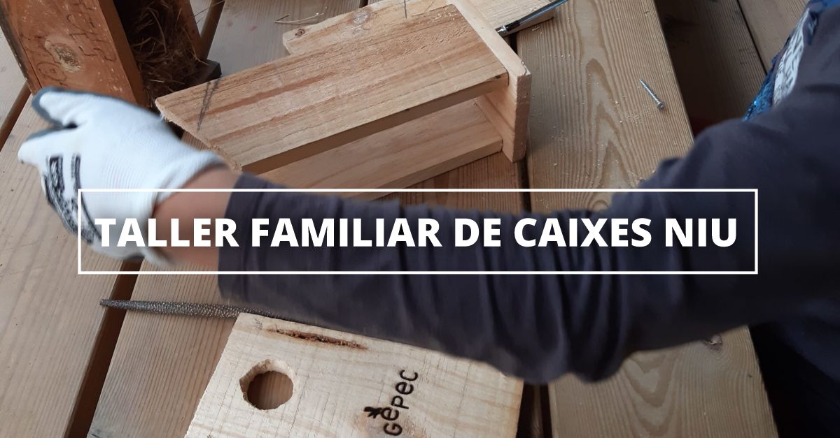 Taller familiar de caixes niu a Jess