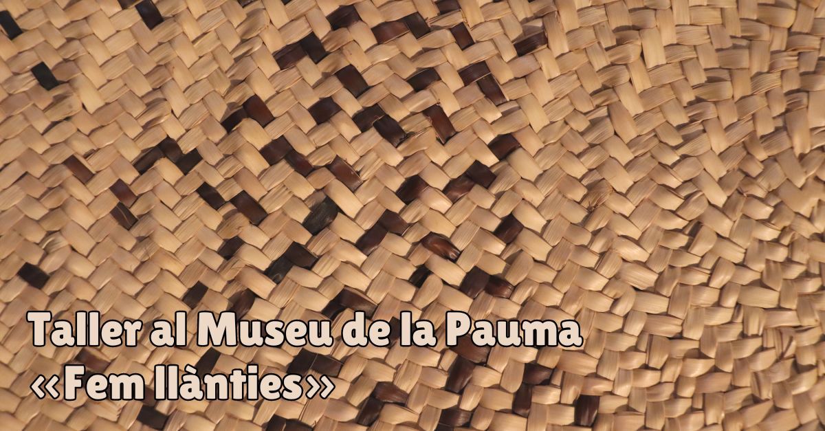 Taller al Museu de la Pauma Fem llnties