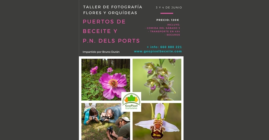 Taller de fotografia flors i orqudies per Beseit i pel Parc Natural dels Ports