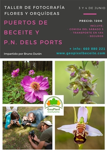 Taller de fotografia flors i orqudies per Beseit i pel Parc Natural dels Ports