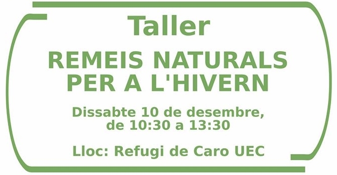 Taller: Remeis naturals per a lhivern