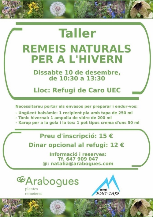 Taller: Remeis naturals per a lhivern