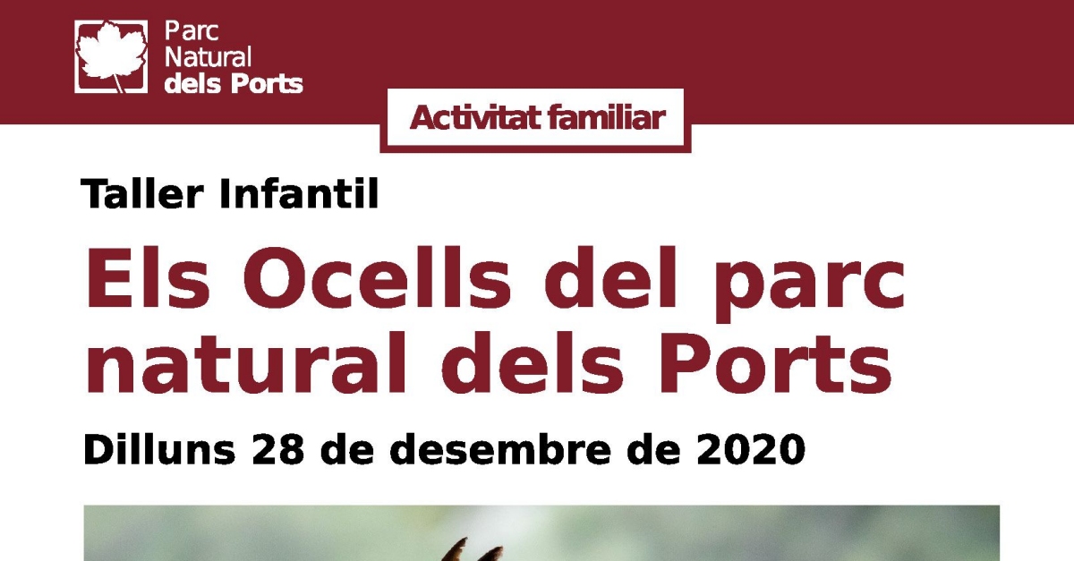 Taller infantil: Los pjaros del Parque Natural dels Ports