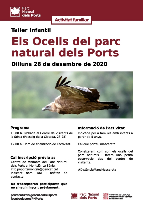 Taller infantil: Els ocells del Parc Natural dels Ports