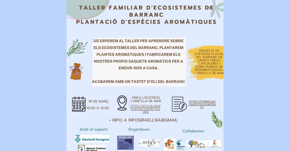 Taller familiar decosistemes de barranc. Plantaci despcies aromtiques