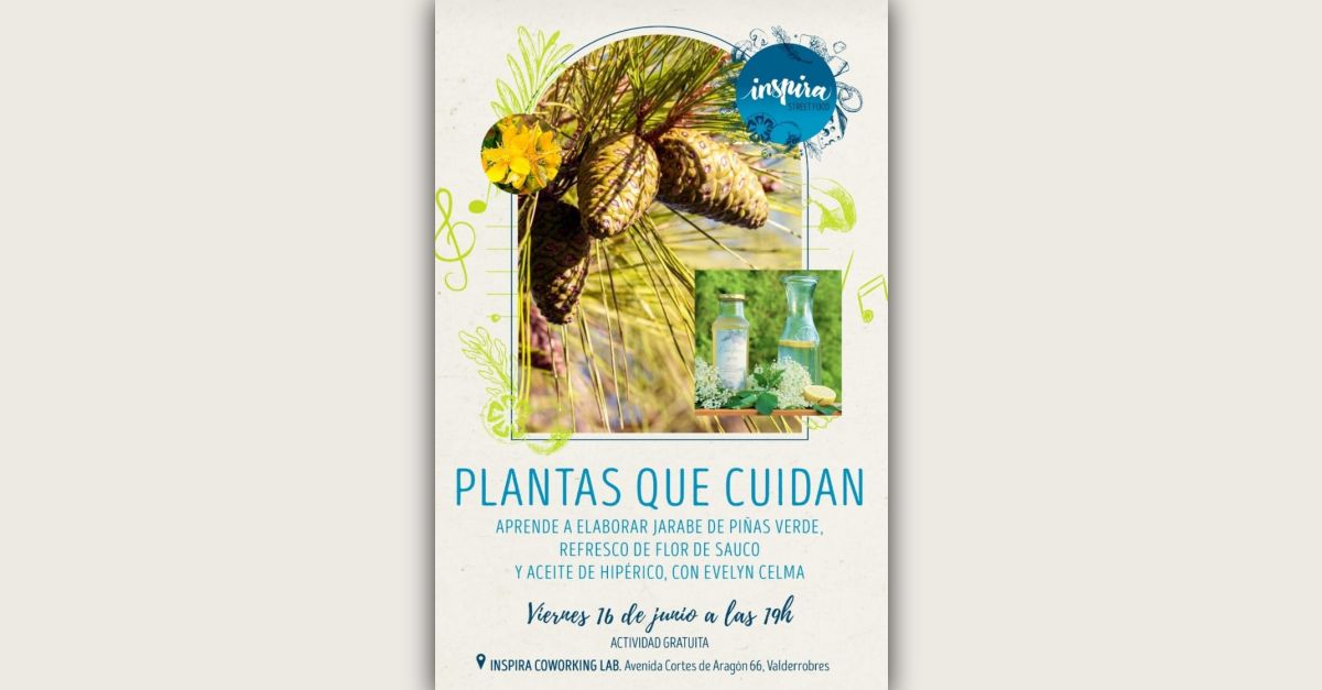 Taller: Plantas que cuidan