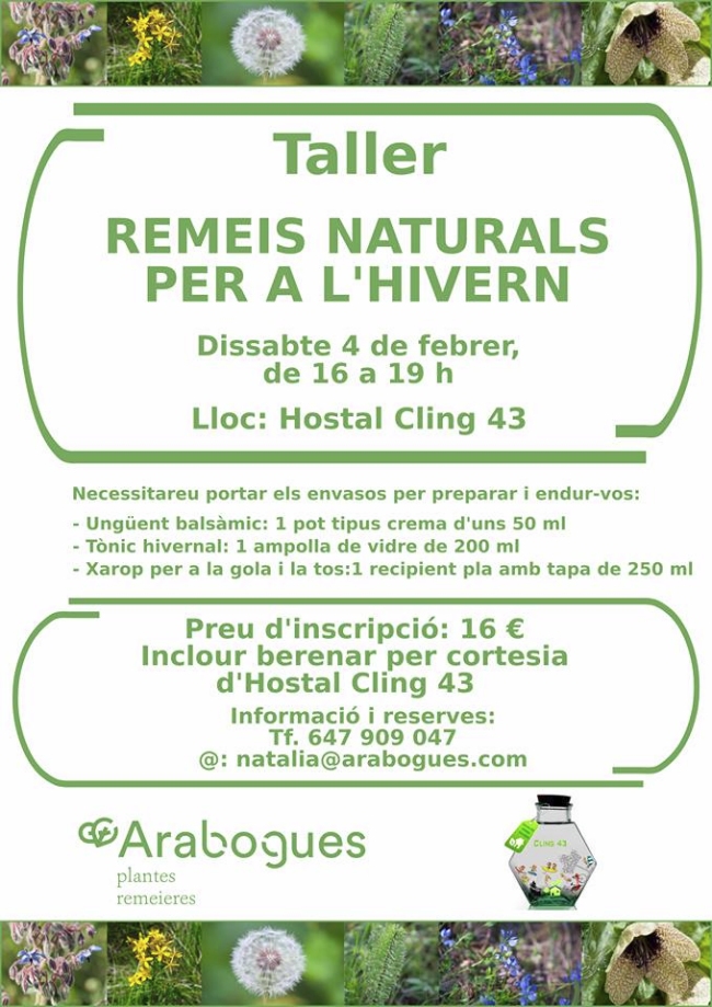 Taller: Remeis naturals per a lhivern