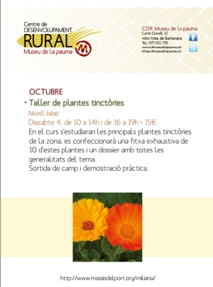 Taller de plantes tinctries