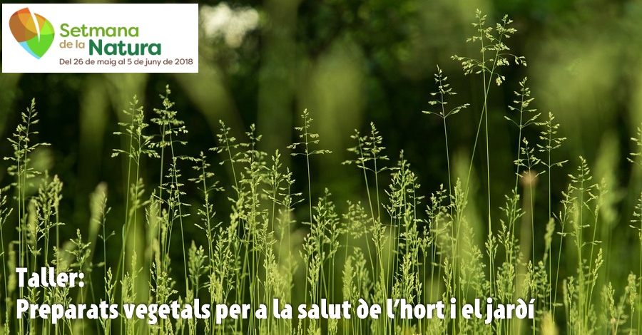 Taller: Preparats vegetals per a la salut de lhort i el jard