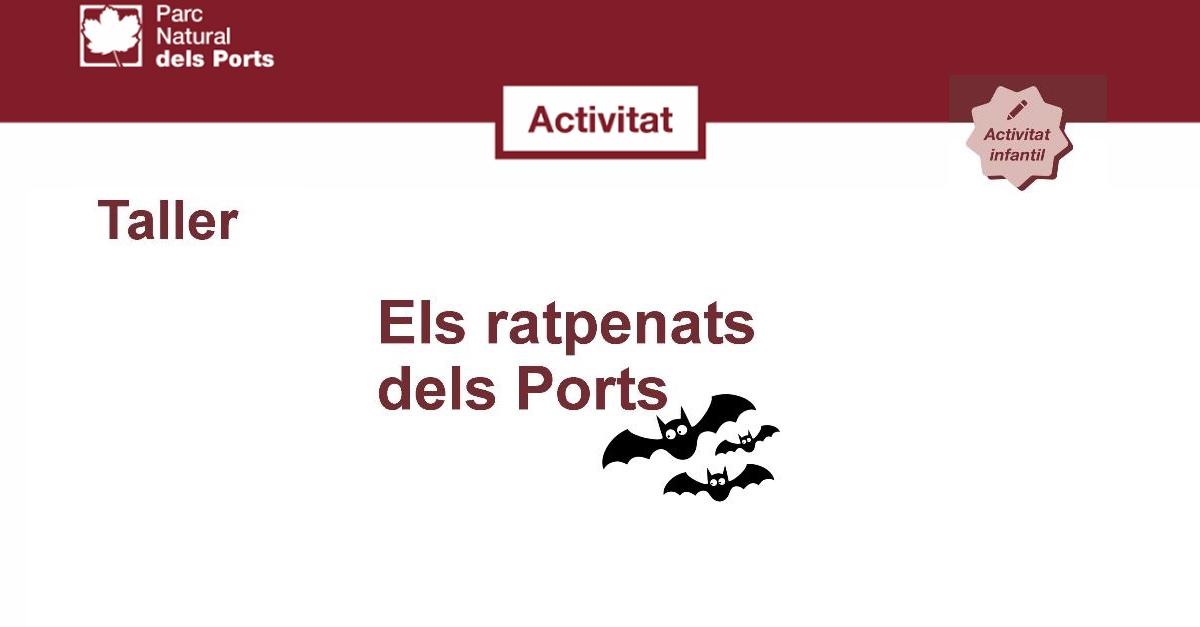 Taller Els ratpenats dels Ports