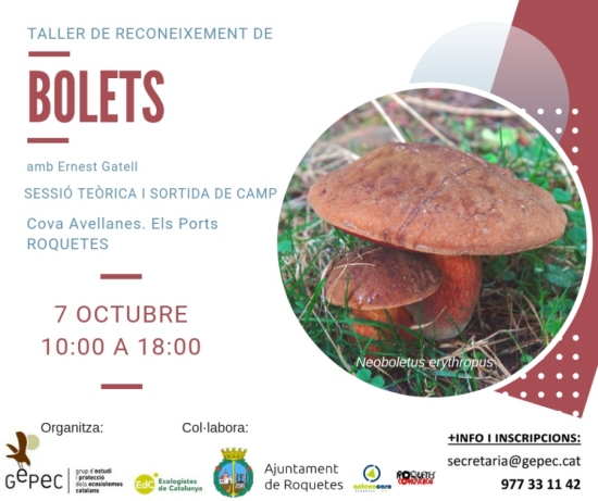 Taller de reconeixement de bolets