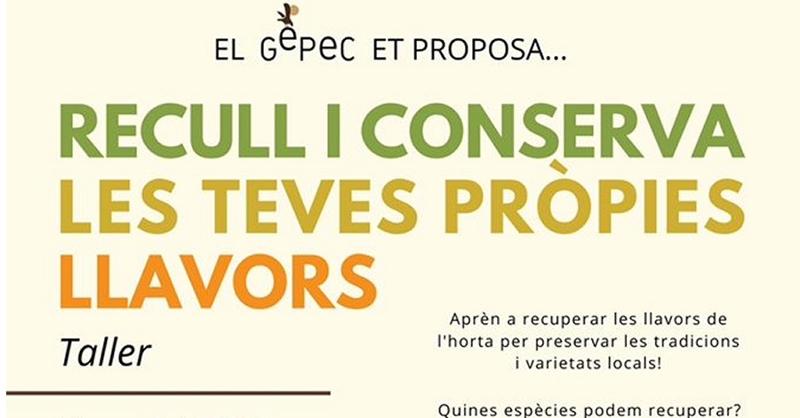 Taller: Recoge y conserva tus propias semillas