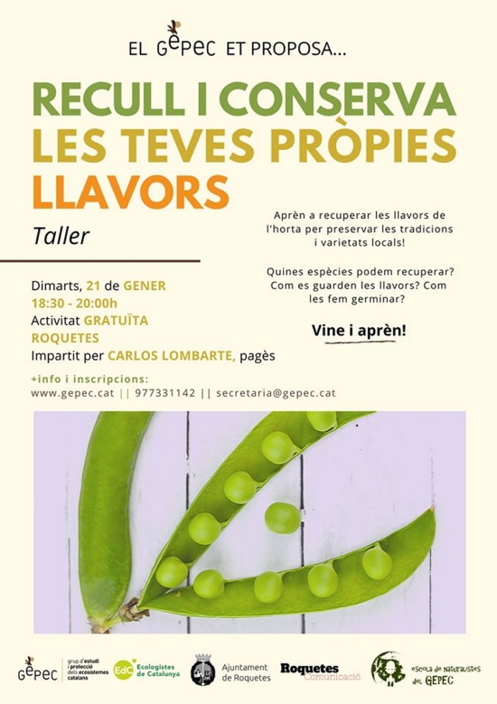 Taller: Recull i conserva les teves prpies llavors