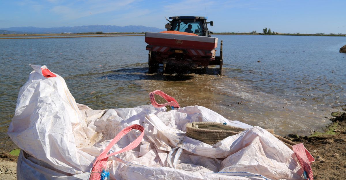 Els arrossaires del Delta sembren aquest maig amb ms incerteses que esperana per les restriccions d’aigua | EbreActiu.cat, revista digital d’oci actiu | Terres de l’Ebre ...