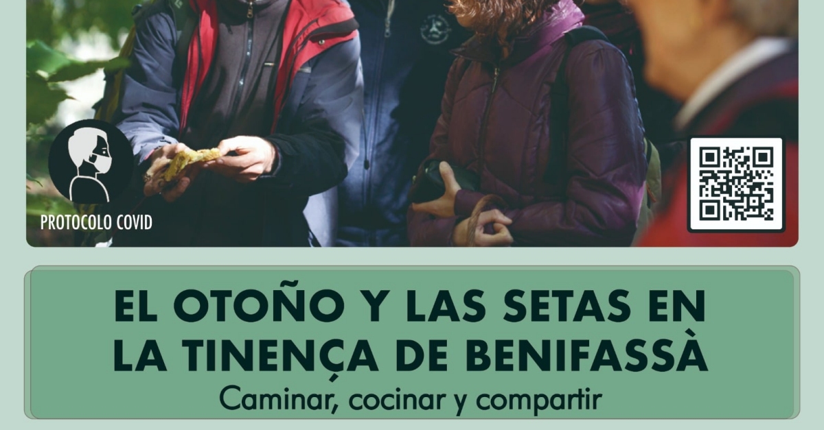 El otoo y las setas a la Tinena de Benifass