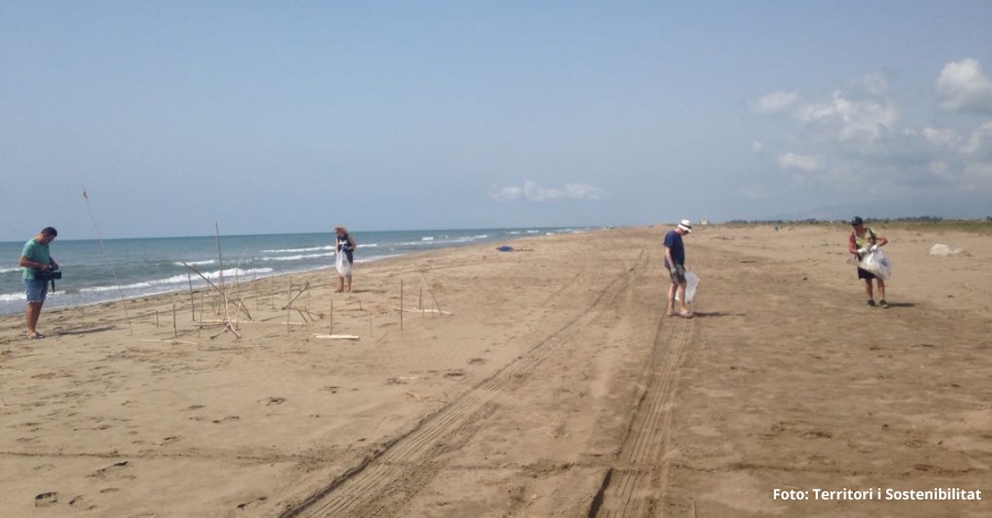 Tcnics del Parc Natural del Delta de l’Ebre recullen 31,3 quilos de brossa marina a la platja del Serrallo | EbreActiu.cat, revista digital d’oci actiu | Terres de l’Ebre ...