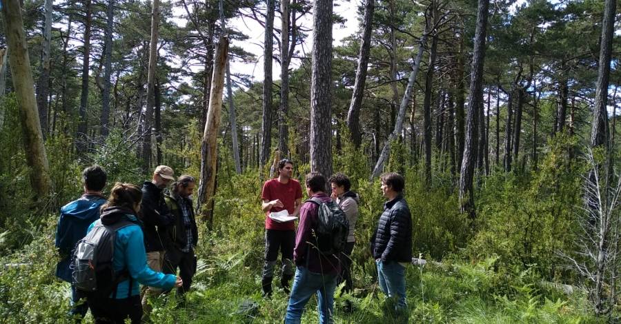 Tres finques al Parc Natural dels Ports apliquen tcniques silvcoles innovadores per a millorar la conservaci dels boscos | EbreActiu.cat, revista digital d’oci actiu | Terres de l’Ebre ...