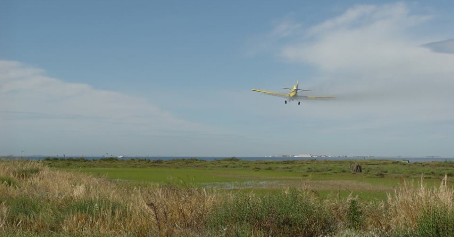 Tercer tratamiento dirigido a las larvas de los mosquitos | EbreActiu.cat, revista digital de ocio activo | Terres de l’Ebre...