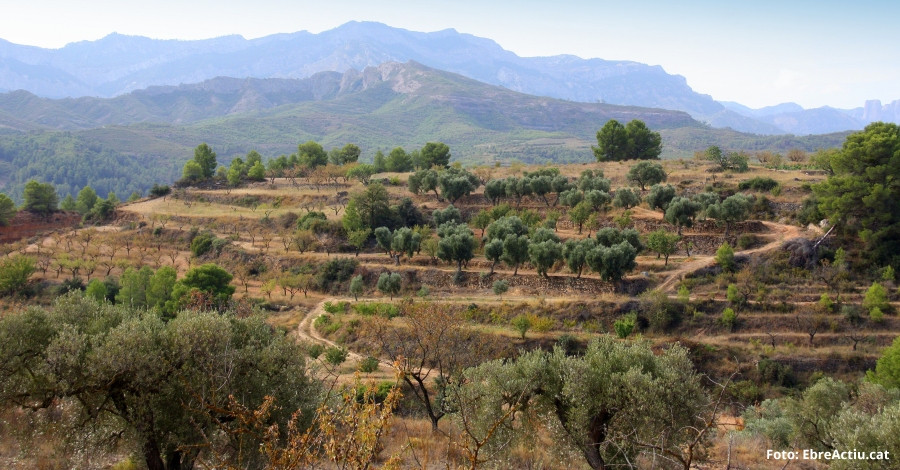 La Terra Alta protagonitza aquest novembre la campanya La comarca del mes | EbreActiu.cat, revista digital d’oci actiu | Terres de l’Ebre ...