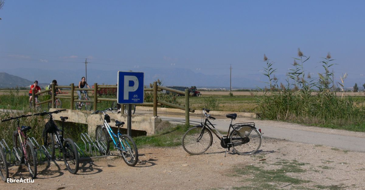 El sector turstic de l’Ebre resisteix millor que altres destinacions del pas els ltims estius amb covid | EbreActiu.cat, revista digital d’oci actiu | Terres de l’Ebre ...