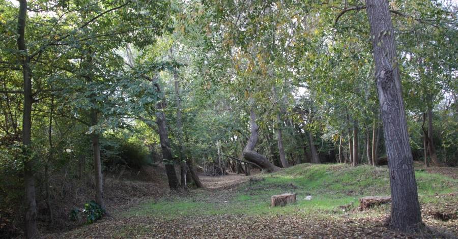 Les Terres de l’Ebre se sumen al ’Let’s Clean Up Europe!’ amb 8 accions de neteja d’espais naturals   | EbreActiu.cat, revista digital d’oci actiu | Terres de l’Ebre ...