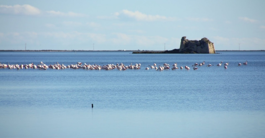 Les Terres de l’Ebre, guardonada com una de les 100 millors destinacions sostenibles del mn | EbreActiu.cat, revista digital d’oci actiu | Terres de l’Ebre ...